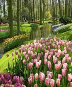 گهشبینى و ڕهشبینى