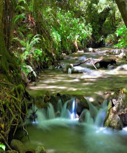 چه‌ند جۆر ڕوبار له‌ به‌هه‌شتدا هه‌یه‌ ؟