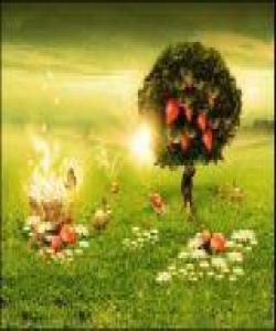 یە كەم كەس كە دەچێتە ناو بەهەشت هبهشى دووهم