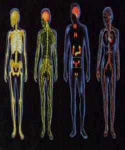 ئهو نهخۆشیانهى ڕۆژوو چارهسهریان دهکات