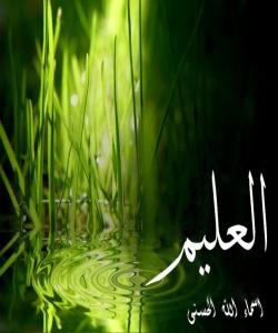 ١٩ ــ الـعــلــیـــم
