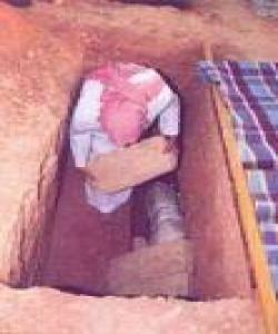 مهرگى گهوره و مهرگى گچکه