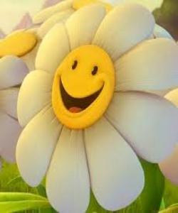 بهختهوهربه له ژیانت .....دوورکهوتنهوه له شهڕانگێزى ڕێگایهکه بهرهو خۆشبهختى