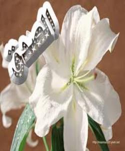 سوودهکانى ڕاستگۆیی :