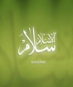 پرسیارى( ٨) ئایه ئیسلام چیه ؟