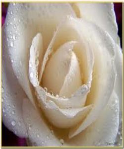 چۆن کۆنترۆڵى سۆزهکانت دهکهیت؟