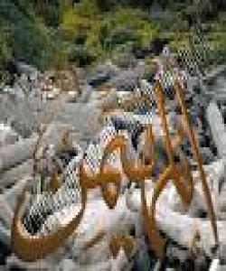 له ناوه جوانهکانی خوای گهوره 8- الـمـهـیـمـن