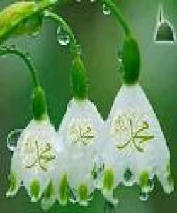 سۆزو میهرهبانی