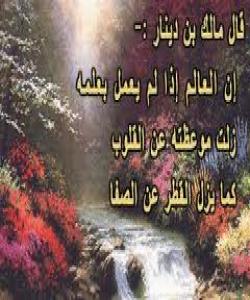 باجى قسهى گهوره و رازاوه