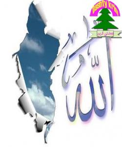 رازیبوون با لهسهر پشکۆى ئاگر بن