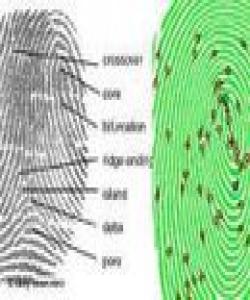 پێناسى مرۆڤ له‌ مۆرى سه‌رى په‌نجه‌کانیدایه‌