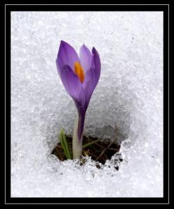 داهاتوو واز لێبێنه ههتا دێت: