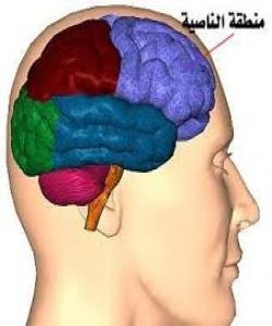 باسى ئهعجازى زانستى لهقورئاندا