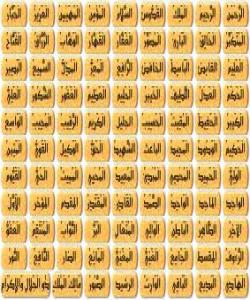 ناسینى خواى گهوره به ناوهکانى: