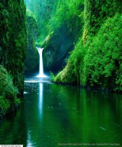 نیشانهكانى عاقیبهت خێرى