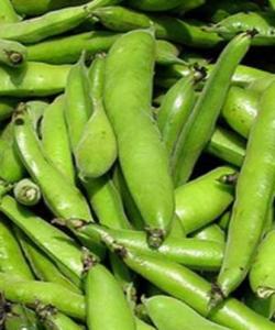 دانەوێڵە و پاقلەمەنییەکان .... له قورئاندا