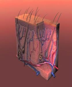 دهزانن ڕۆژوو چى له پیست دهکات ..!