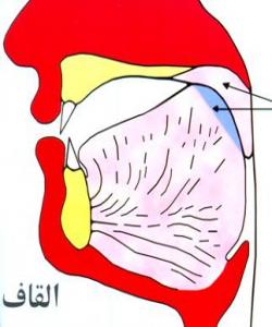 مهخرهجهکانی زمان....پیتی (ق)