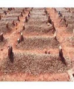 نامەیەک بۆ ئەو کەسانەى کە ئازیزێکیان لە دەست داوە