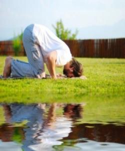 پرسیار١ :ئایهخوداى گهوره ئهم بونهوهرهى بهبێ حیکمهت بهدیهێناوه؟