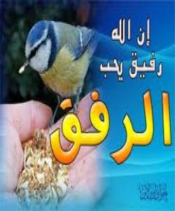 نهرم و نیانى (الرفق)