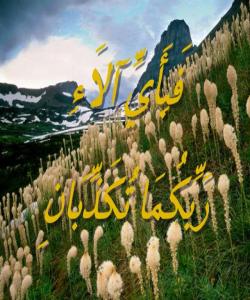 تهوهرهى سهرهکى سورهتى (الرحمان)