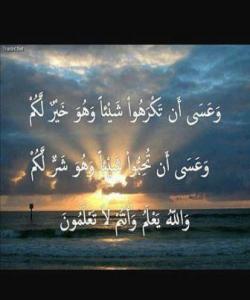 سەبرگرتن لەسەر نەهامەتیەكان زۆر جار دەبێتە خێر بۆت