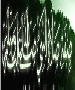 پوختهی چۆنیهتی نوێژی پێغهمبهر(د.خ)