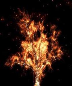 شوێنکهوتنی ههواو ئارهزوو