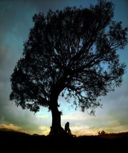 له ووتهکانى سهرکهوتن............23