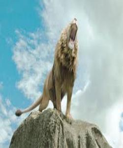 لهناو ناچین ئهگهر تۆ یارمهتی ئێمه بدهیت.....چیرۆک