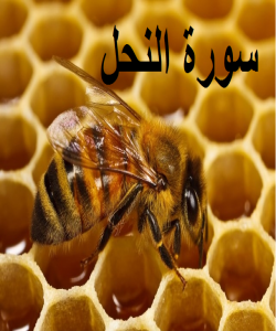 هۆی دابەزینی ئایەتی (١٠٣) سورەتی (النحل) :{وَلَقَدْ نَعْلَمُ أَنَّهُمْ يَقُولُونَ إِنَّمَا يُعَلِّمُهُ بَشَرٌ }