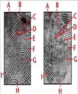 پێناسى مرۆڤـ له مۆرى سهرى پهنجهکانیدایه