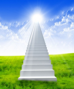 فراوانی بە هە شت بهشى دووهم ..بهههشت