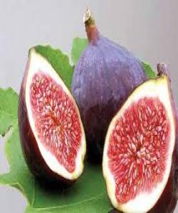 ڕهوان بێژی له قورئاندا سورهتی (التين)....