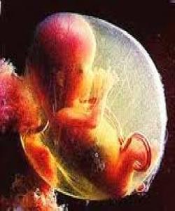 کهمترین ماوهى سکپرى شهش مانگه