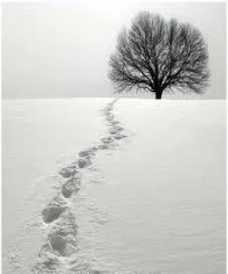 من له کوێوه هاتووم؟.....(عقيدة)