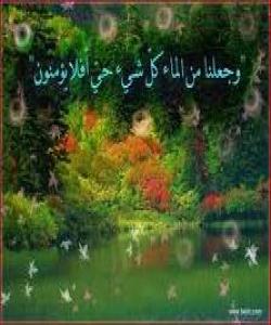 ههموو شتێكی زیندوو له ئاو دروست بووه :