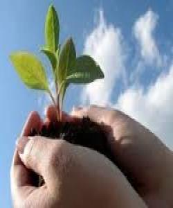 ئیسلام و كاركردن