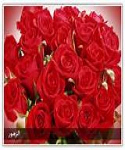 وتهى بیاوچاکان یهحیاى بن مهعاز