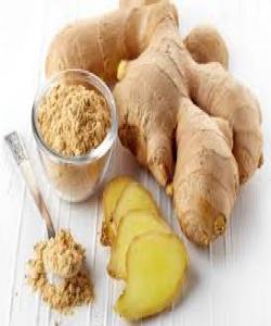 زةنجةفيل (الزنجبيل)...لهقورئاندا