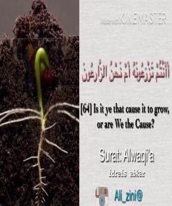ئاوو کشت و کاڵ و جه‌خت کردنى قورئان [افرأيتم ما تحرثون ، أأنتم تزرعونه ام نحن الزارعون ، لونشاء لجعلناه حطاماً فظلتم تفكهون ، انا لمغرمون بل نحن محرومون ] (الواقعة : )٦٣ 