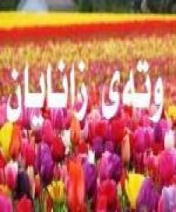 وتهى زانایان ده ربارهى کات