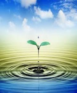 ڕازی ژیان !...