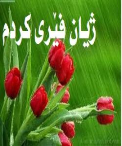 ژیان فێرى کردم..... (29)